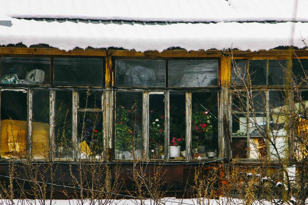 Фотографія Зимний сад / Олесья Деменко / photographers.ua