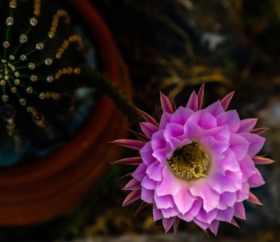 Фотографія Разное / Andriy Marchenko / photographers.ua