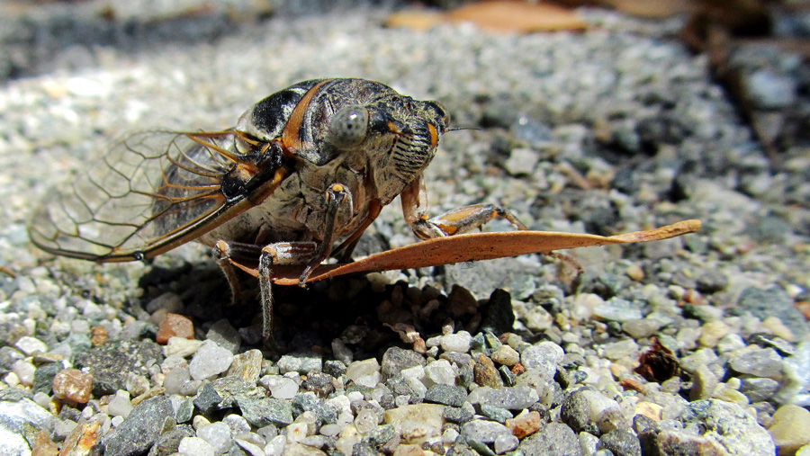 Фотографія В ожидании волны. / Andriy Marchenko / photographers.ua