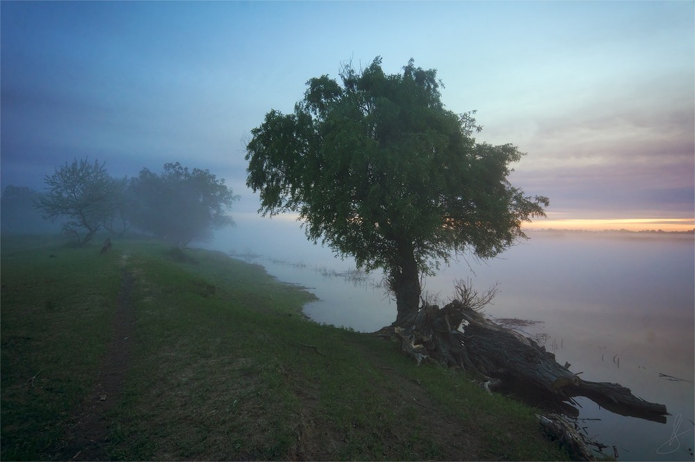 Фотографія О предрассветном тумане... / Будин Николай / photographers.ua