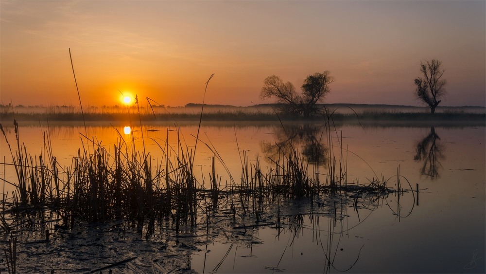 Фотографія Однажды утром на реке... / Будин Николай / photographers.ua