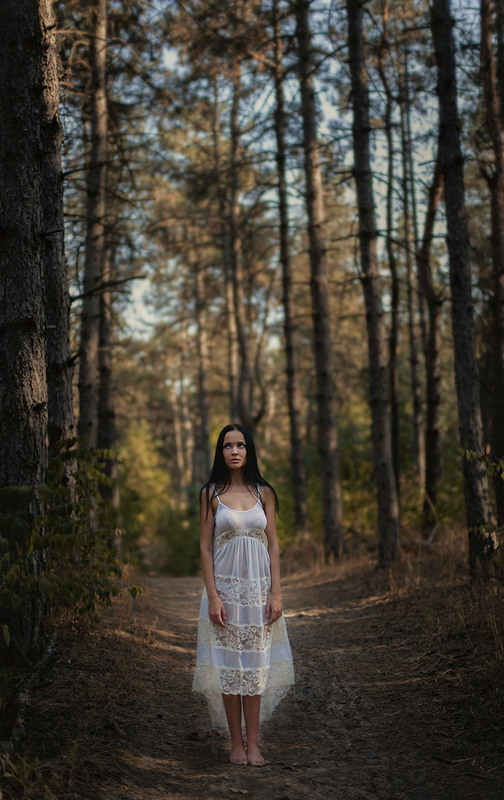 Фотографія Alone in the forest. / Денис / photographers.ua
