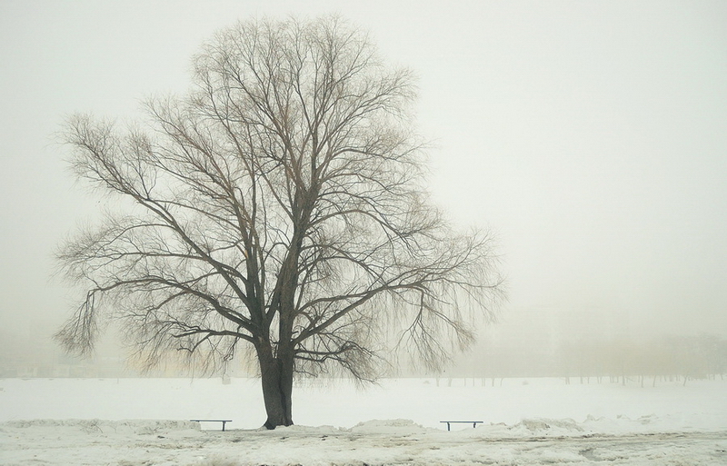 Фотографія зима / Bereslavskyi / photographers.ua