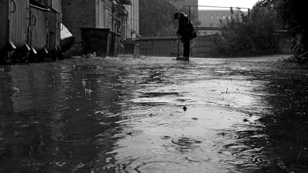 Фотографія rain cleaner... / Red Dog / photographers.ua