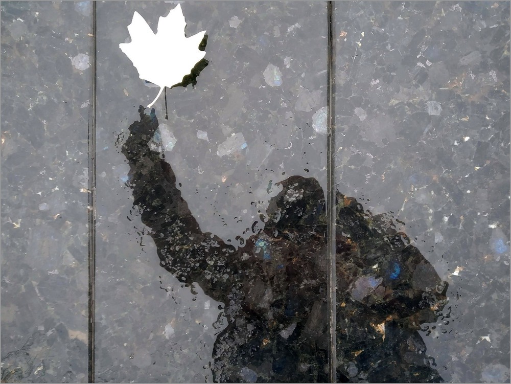 Фотографія Leaf hunter... / Red Dog / photographers.ua