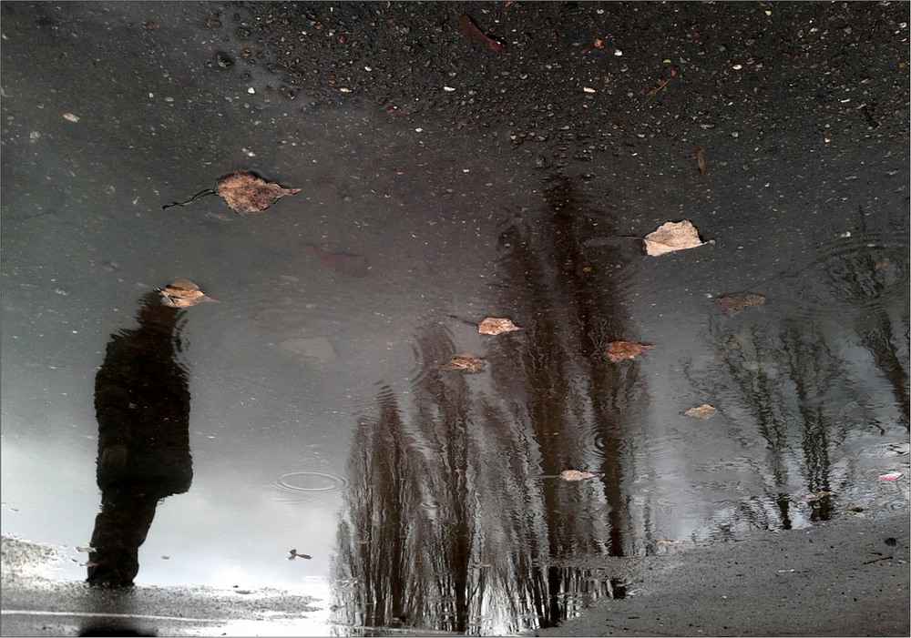Фотографія ...unseason rain / Red Dog / photographers.ua