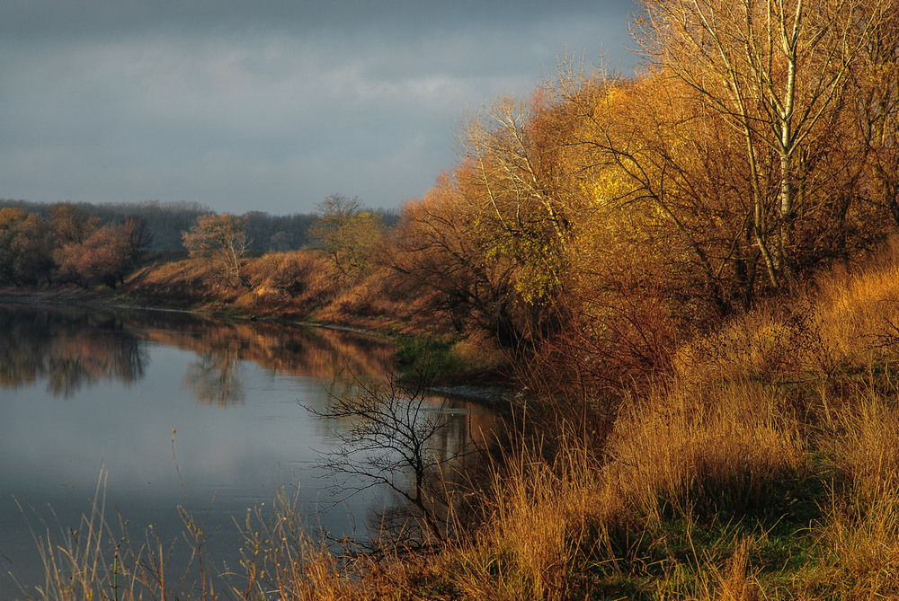 Фотографія золото у ног / Роман Крамской / photographers.ua