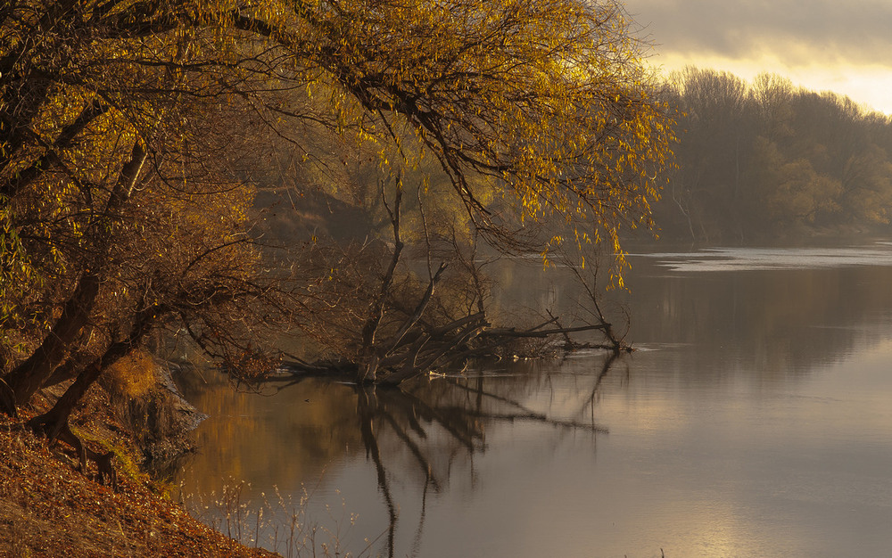 Фотографія желтые рассветы - желтые закаты / Роман Крамской / photographers.ua