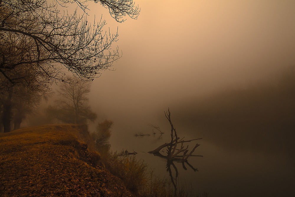 Фотографія Туманная река / Роман Крамской / photographers.ua
