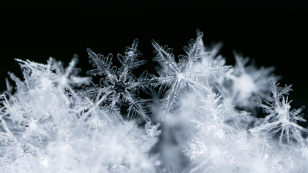 Фотографія * / Vadym Cherenko / photographers.ua