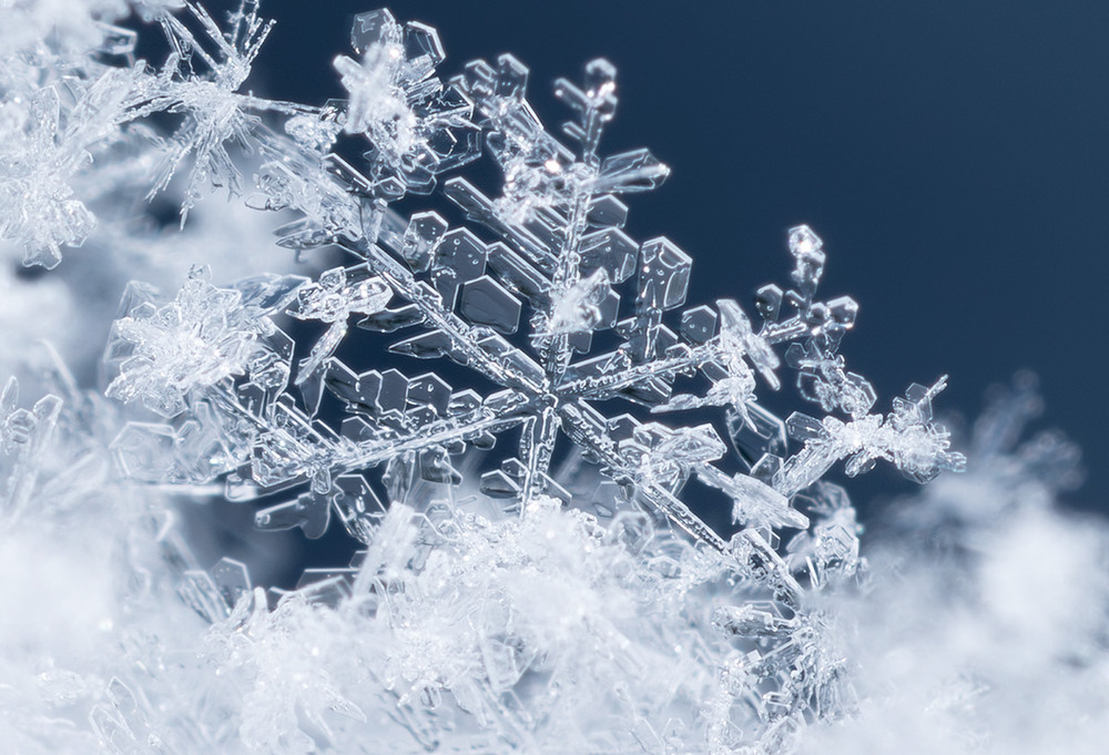 Фотографія сніжинка / Vadym Cherenko / photographers.ua