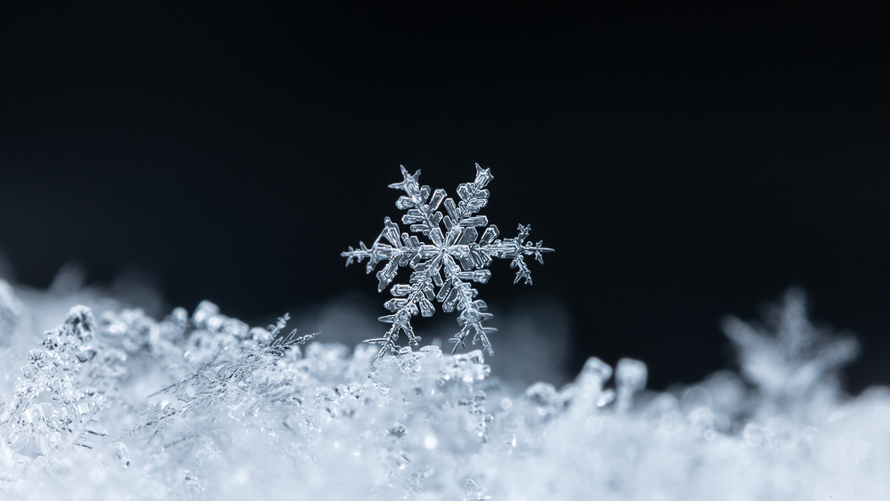 Фотографія * / Vadym Cherenko / photographers.ua