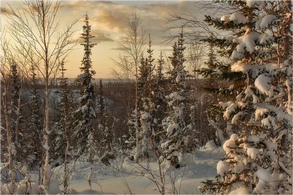 Фотографія * * * / Evgeny Kuzhilev / photographers.ua