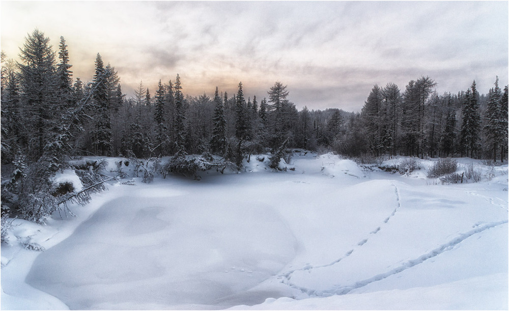 Фотографія * * * / Evgeny Kuzhilev / photographers.ua