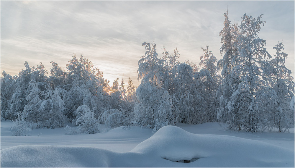 Фотографія * * * / Evgeny Kuzhilev / photographers.ua