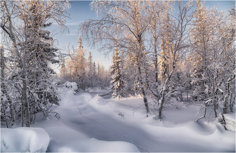 Фотографія Зимняя сказка / Evgeny Kuzhilev / photographers.ua
