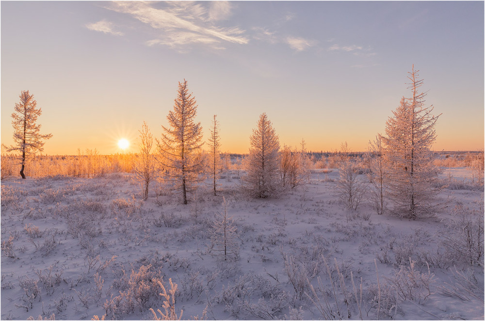 Фотографія Морозное утро / Evgeny Kuzhilev / photographers.ua