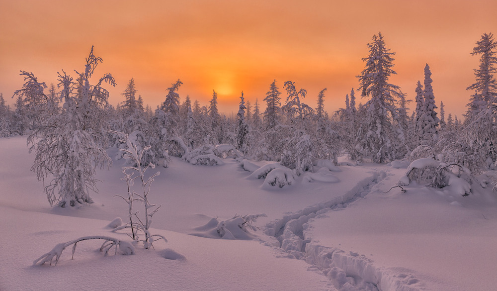 Фотографія Мороз и солнце / Evgeny Kuzhilev / photographers.ua