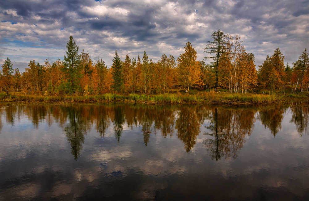 Фотографія Осень / Evgeny Kuzhilev / photographers.ua