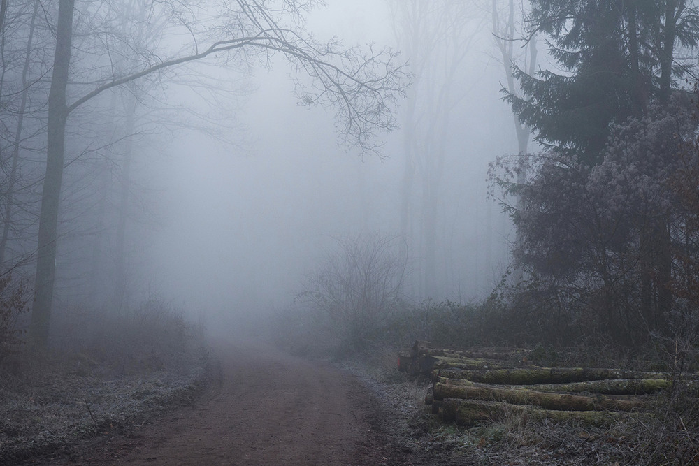 Фотографія Пейзаж / Igor Gomelskyy / photographers.ua