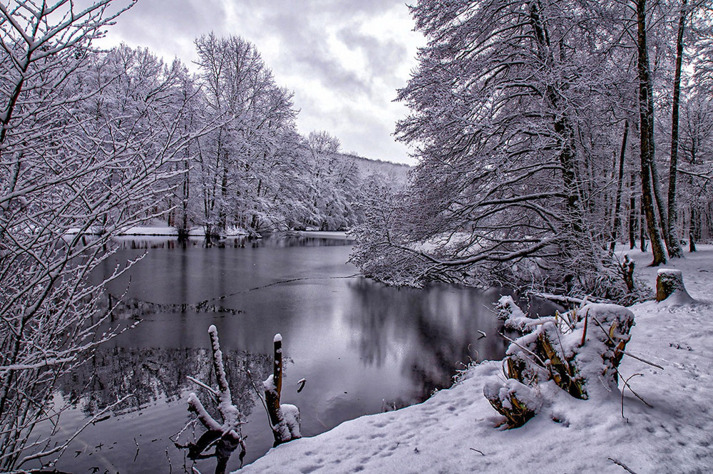 Фотографія Озеро Бурбах Германия / Igor Gomelskyy / photographers.ua