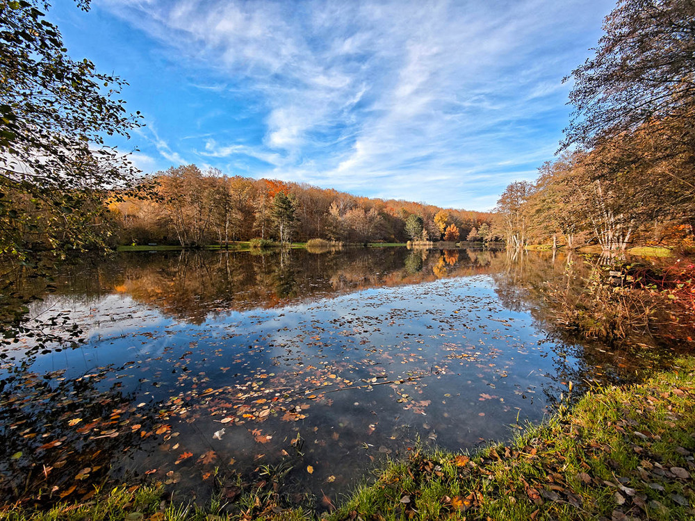 Фотографія Гламур / Igor Gomelskyy / photographers.ua