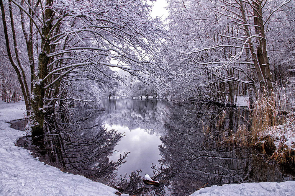 Фотографія Пейзаж / Igor Gomelskyy / photographers.ua