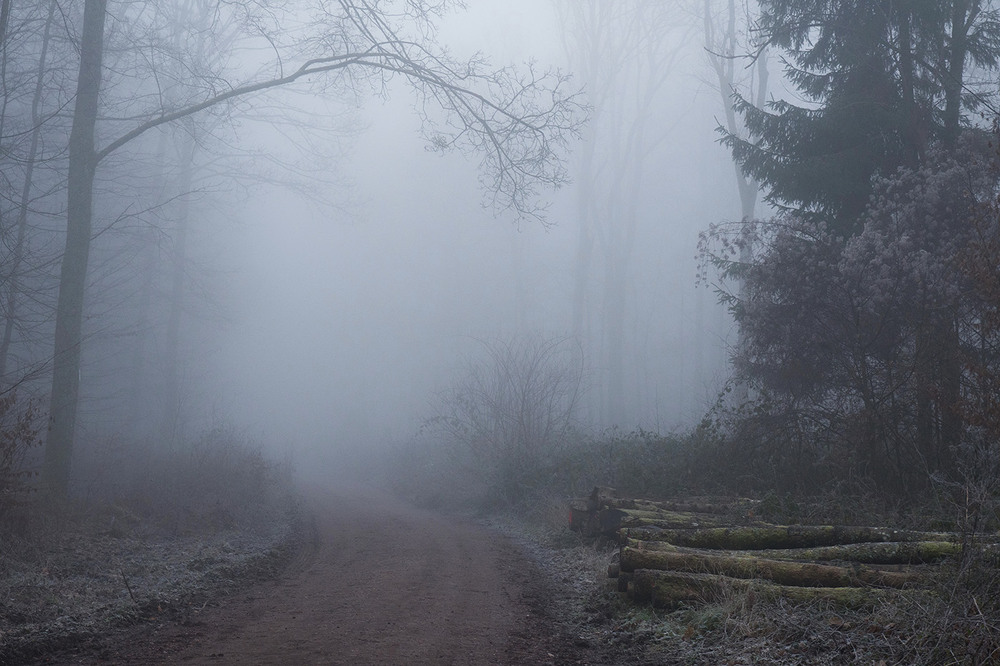 Фотографія Пейзаж / Igor Gomelskyy / photographers.ua