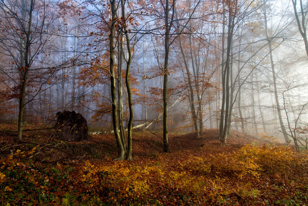 Фотографія Пейзаж / Igor Gomelskyy / photographers.ua