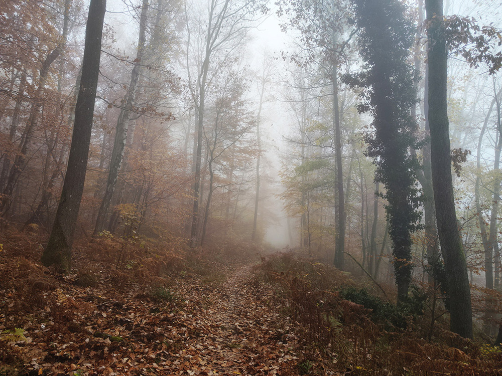 Фотографія Пейзаж / Igor Gomelskyy / photographers.ua