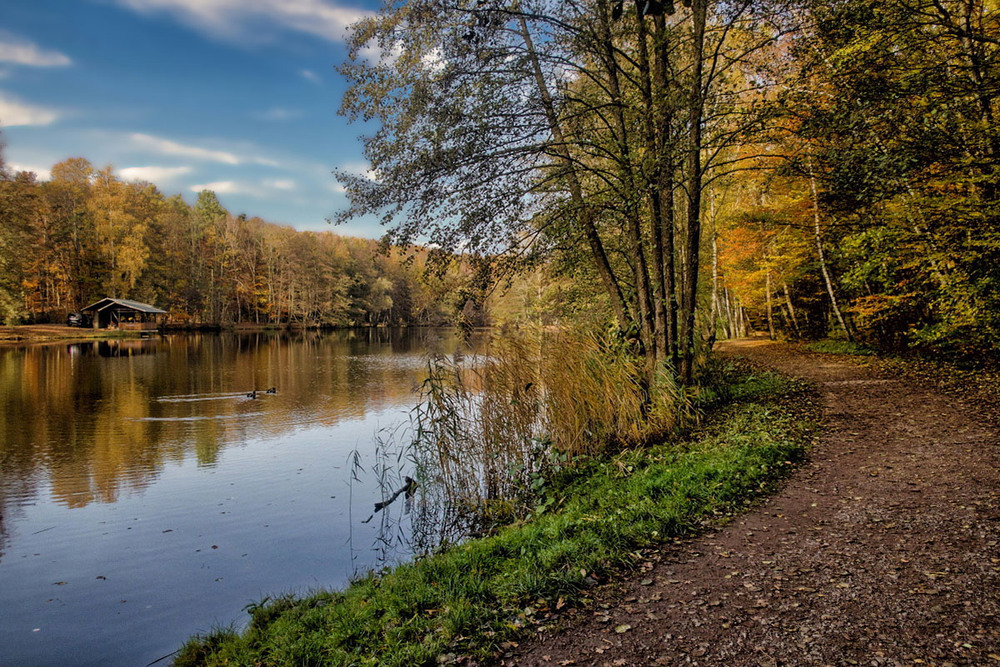 Фотографія Пейзаж / Igor Gomelskyy / photographers.ua