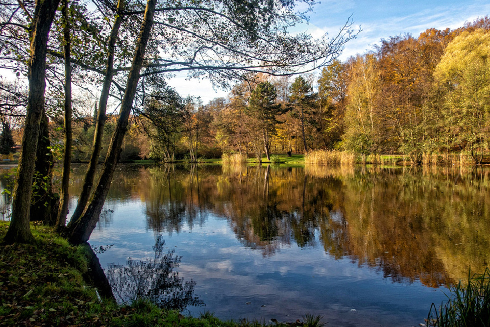 Фотографія Пейзаж / Igor Gomelskyy / photographers.ua