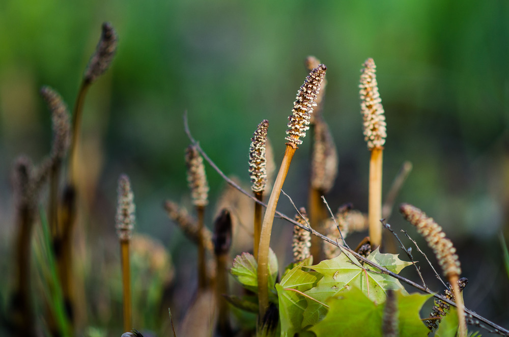Фотографія Разное / Мороз Дмитро / photographers.ua