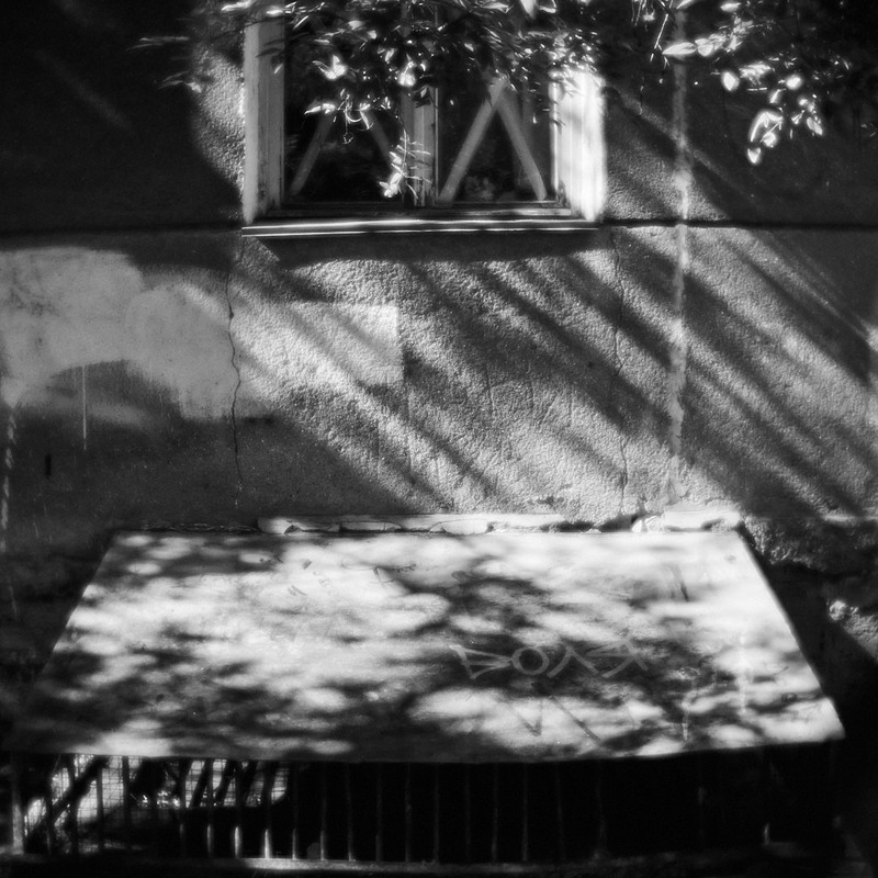 Фотографія ВОЛЯ / Slava Kuzmenko / photographers.ua