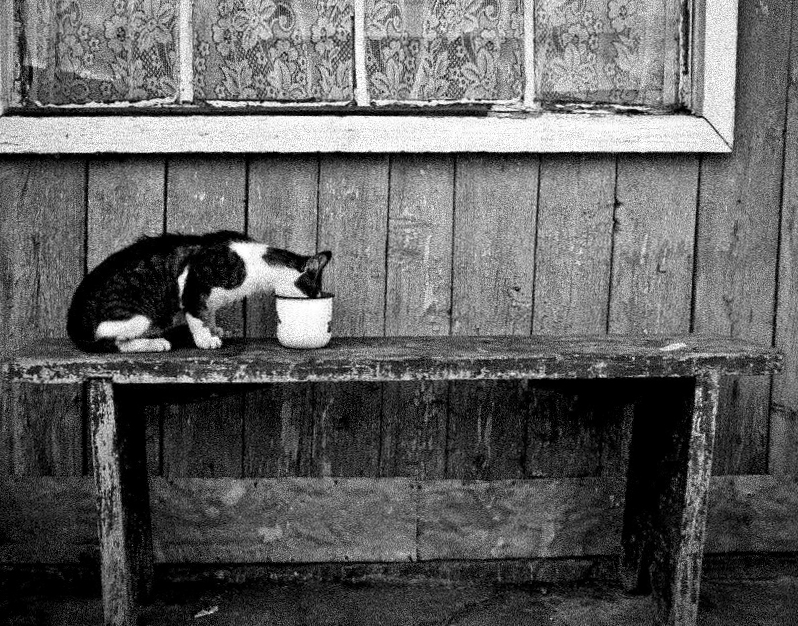 Фотографія Разное / Мирослава Струк / photographers.ua