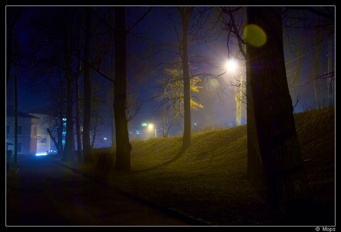Фотографія Туманний вечір / Mops Кульманович / photographers.ua