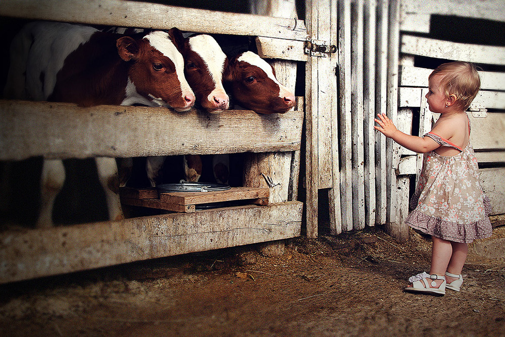 Фотографія Пейте дети молоко – будете здоровы! / Аня Долженкова / photographers.ua