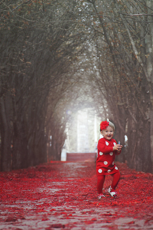 Фотографія Красный цветочек жизни! / Аня Долженкова / photographers.ua