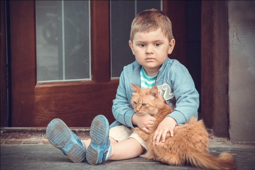 Фотографія "У кого есть кошка, тот может не бояться одиночества". / Галина Максимчик / photographers.ua