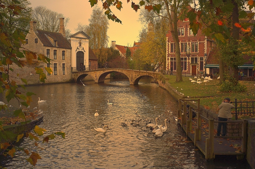 Фотографія Autumn in Bruges. / Johny Hemelsoen / photographers.ua