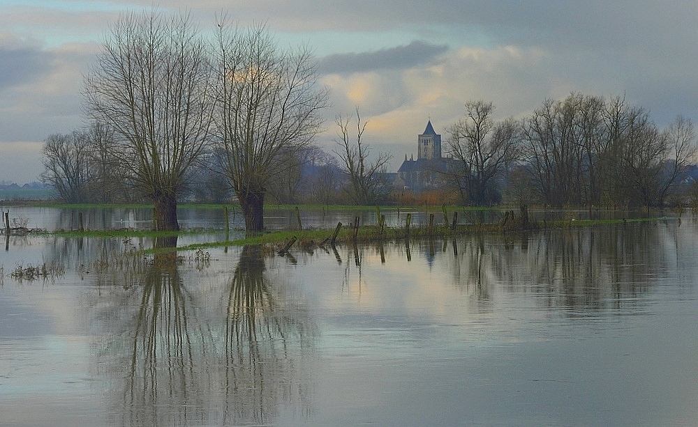 Фотографія The flooded meadows of Beveren. / Johny Hemelsoen / photographers.ua