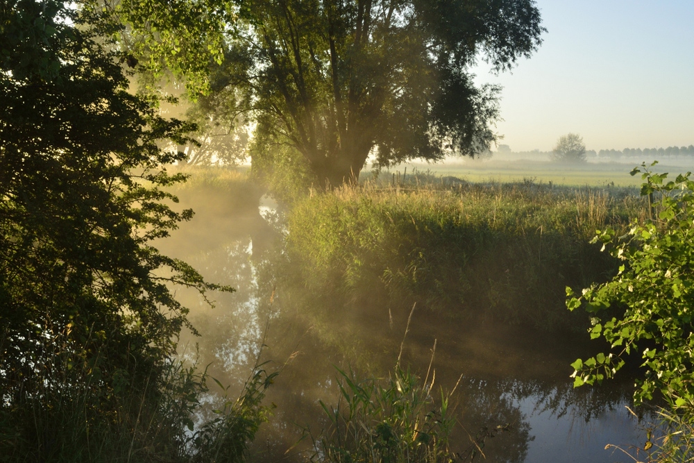 Фотографія Golden river. / Johny Hemelsoen / photographers.ua
