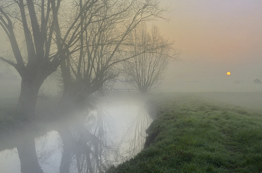 Фотографія A foggy morning. / Johny Hemelsoen / photographers.ua