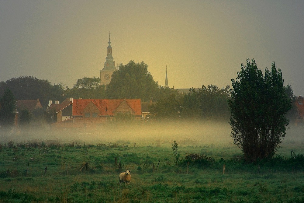 Фотографія Foggy morning in Diksmuide. / Johny Hemelsoen / photographers.ua