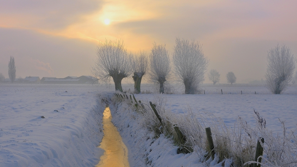 Фотографія A wintermorning in Belgium. / Johny Hemelsoen / photographers.ua