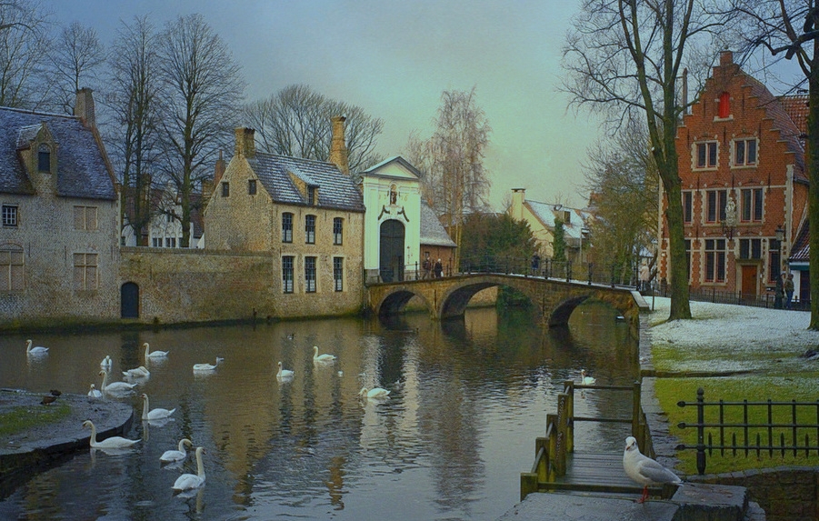 Фотографія Winter in Bruges. / Johny Hemelsoen / photographers.ua
