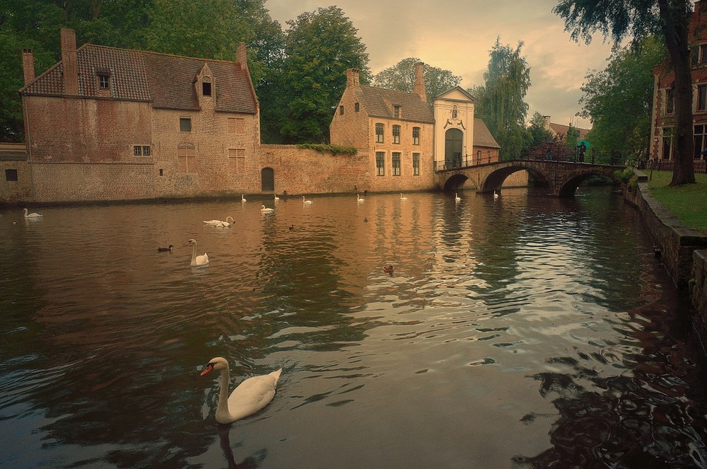 Фотографія Bruges in the rain. / Johny Hemelsoen / photographers.ua