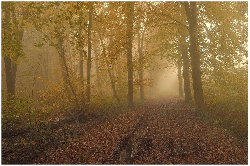 Фотографія Пейзаж / Johny Hemelsoen / photographers.ua