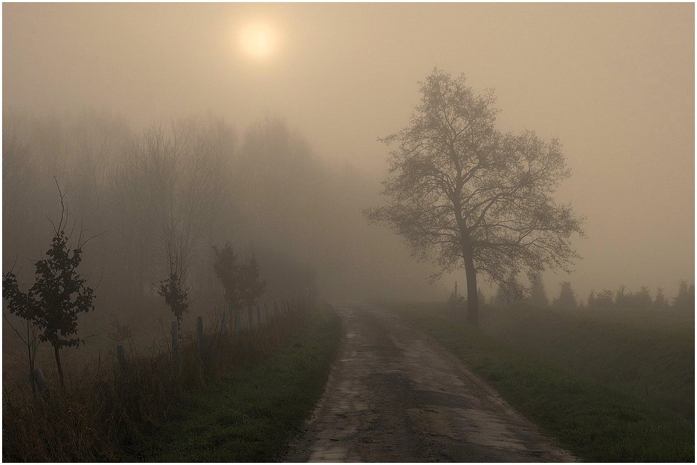 Фотографія Mysterious morning. / Johny Hemelsoen / photographers.ua