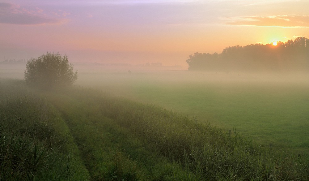 Фотографія A foggy summer morning. / Johny Hemelsoen / photographers.ua